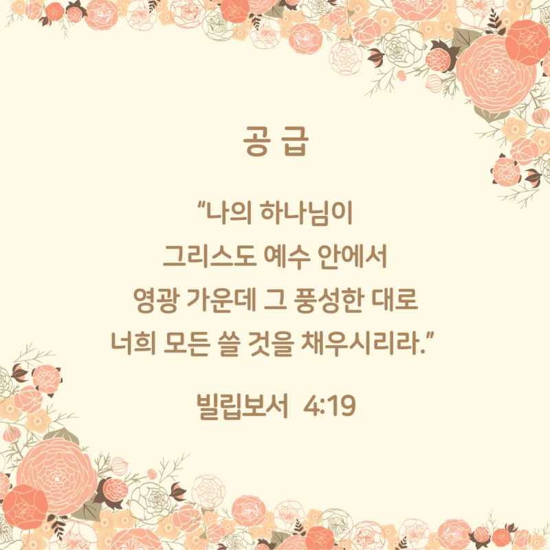 2e0d8e1a17bd936be132b33fb7b4e7bb_1786155207_5686.jpg